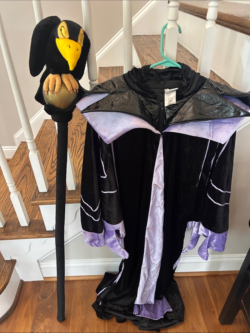 Women’s Maleficent Costume